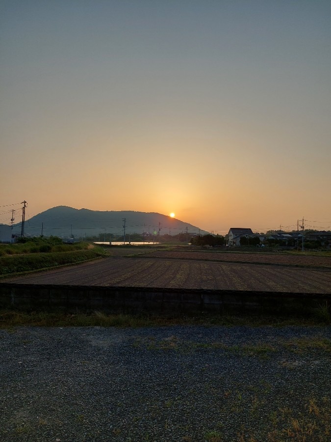 6/3朝空