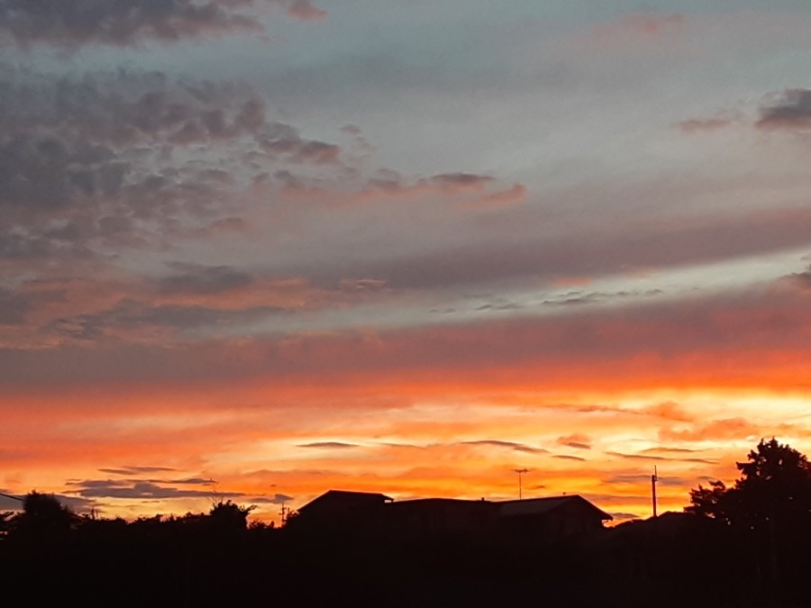 雲もくもく部❣️( ˶˙ᵕ˙˶ )🍀*゜夕焼け🌇