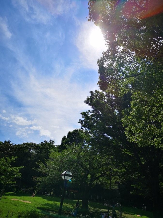 蚕糸の森公園の空✨✨✨