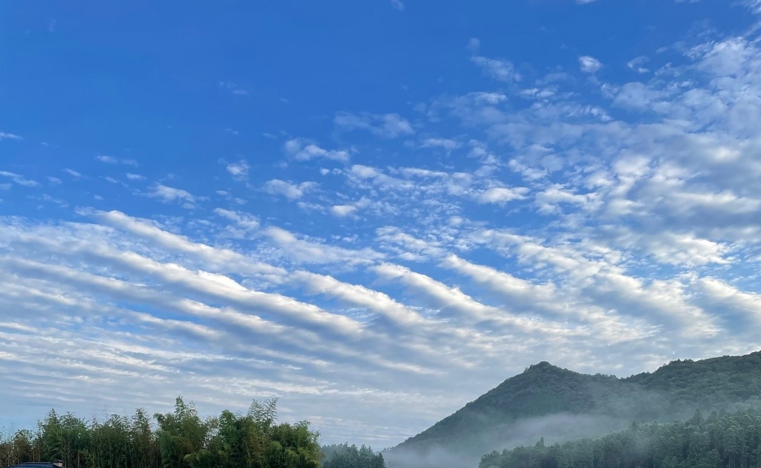 今日の空