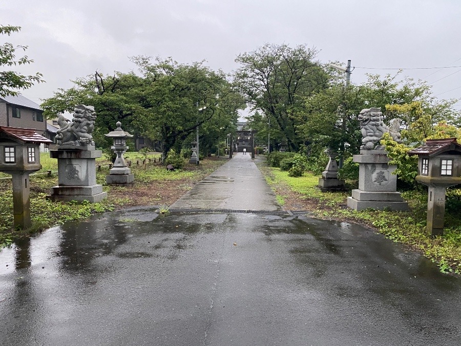 今朝は雨　7／19