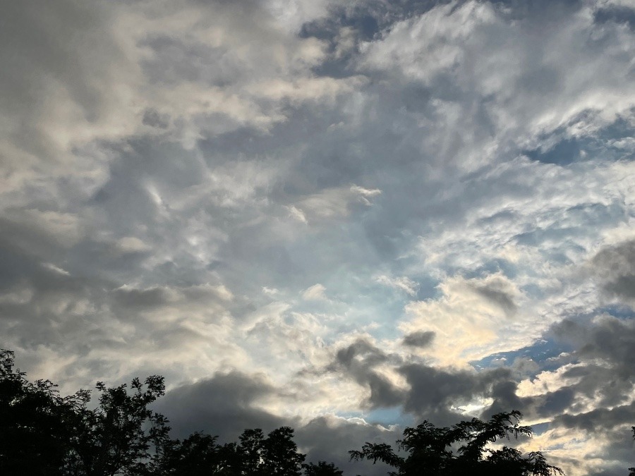 雨上がり