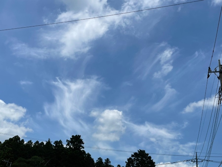 今日のお昼の空