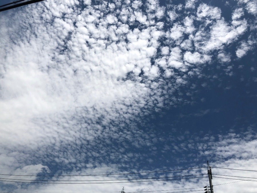 7/13  お昼の空