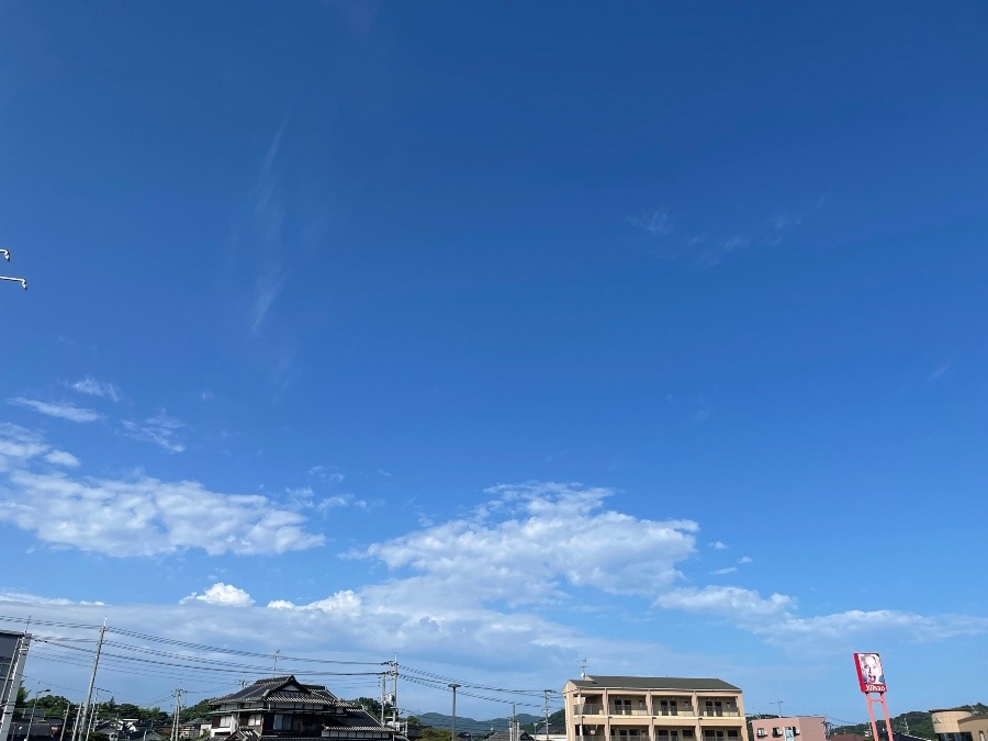 朝の空　8：30