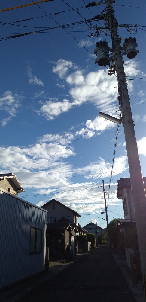 18時頃の西空　犬と共に