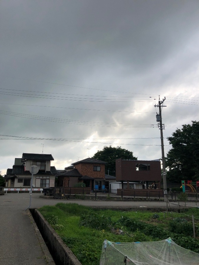 雨が降る‼️！