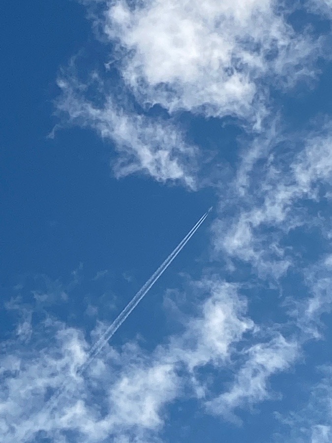 飛行機雲✈️❗️