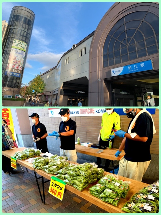 ☆東京狛江市はブランド枝豆の地☆