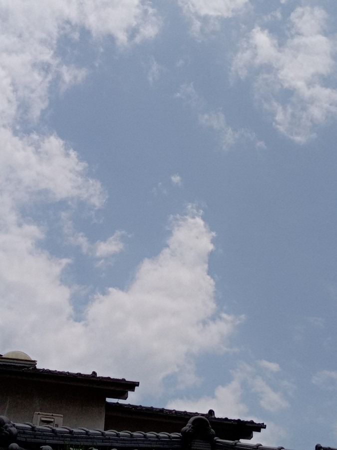 現在の空☀️　12:20