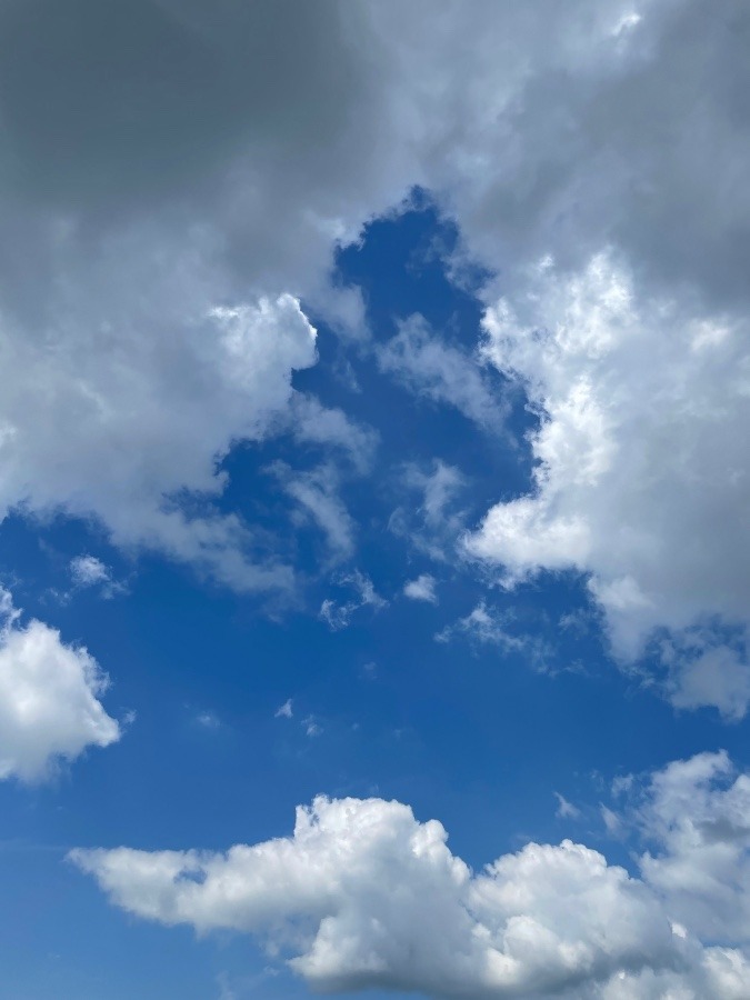 今日の空