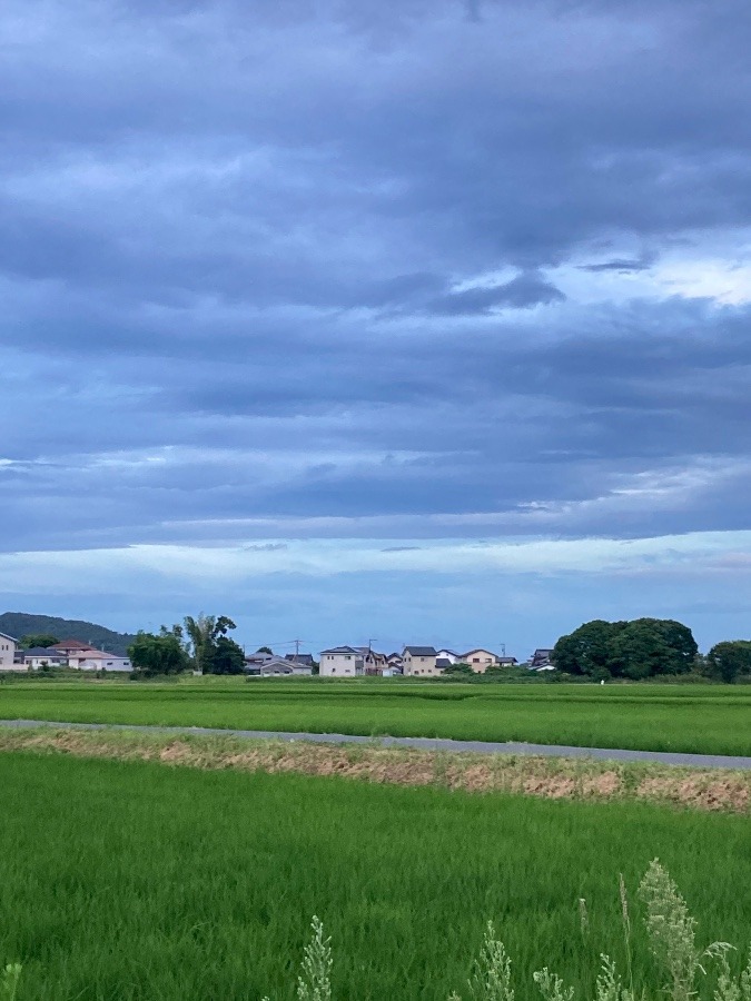 東の空が層になってる‼️