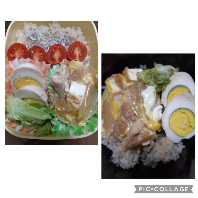 弁当🍱