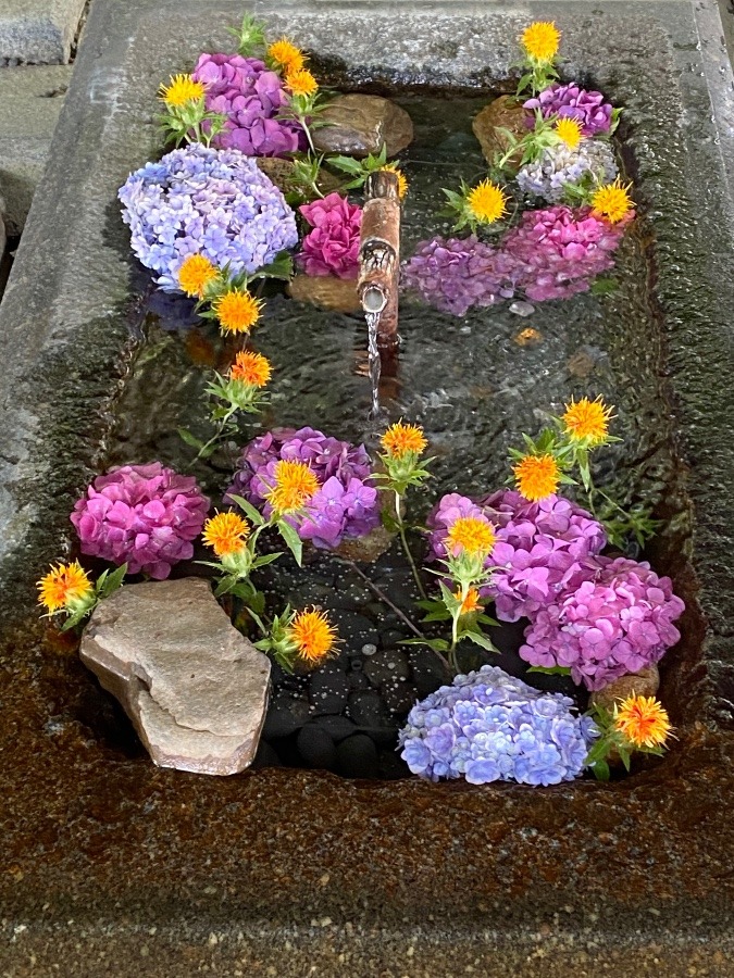 花手水🌸🎶