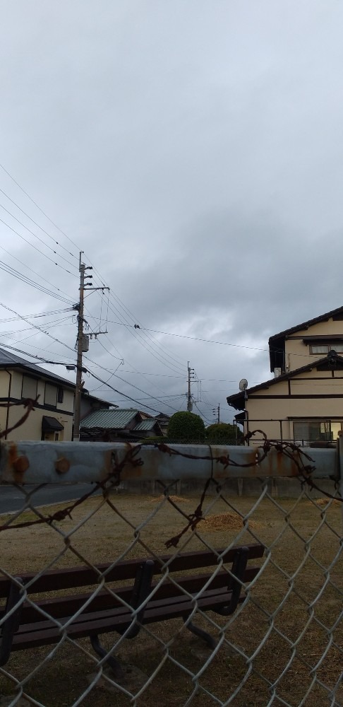 今日も仲良くハトとスズメ