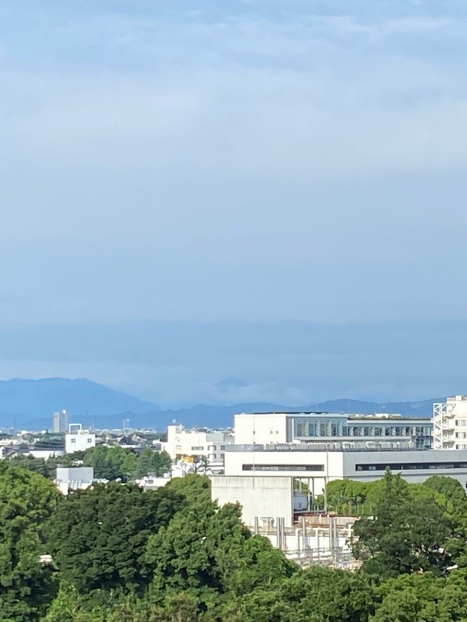 今朝の富士山