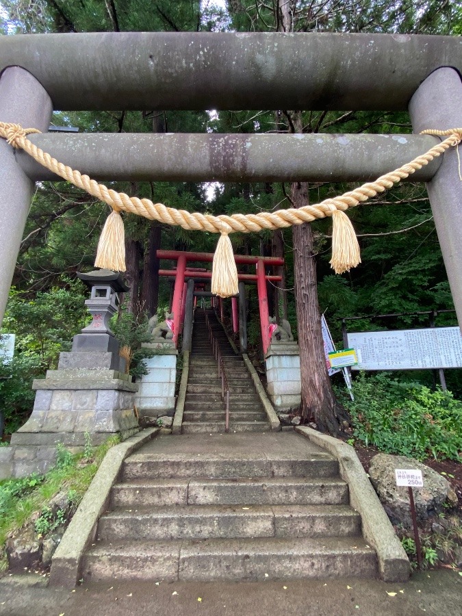 神社参拝⛩🎶