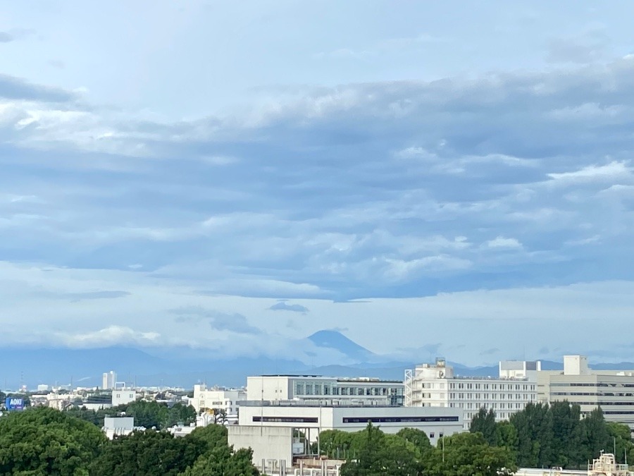 今朝の富士山