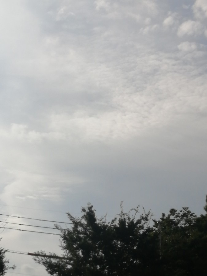 今日の空－7月17日