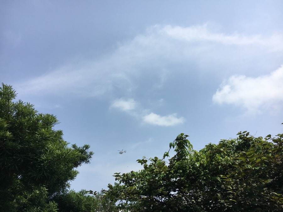 ⭕️空部→   いま空（≧∇≦）‼️81.