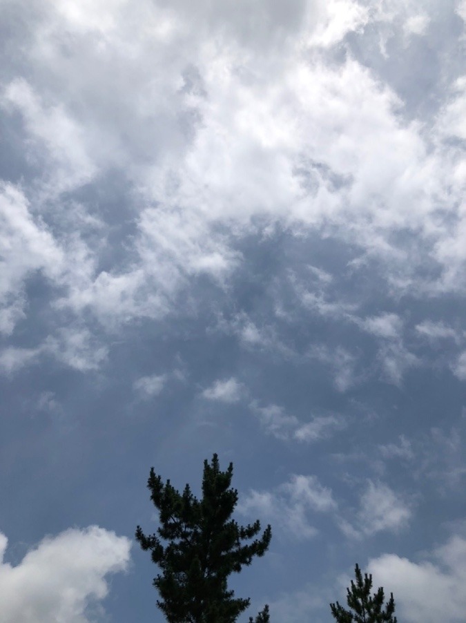 辿りついた先の空⛩