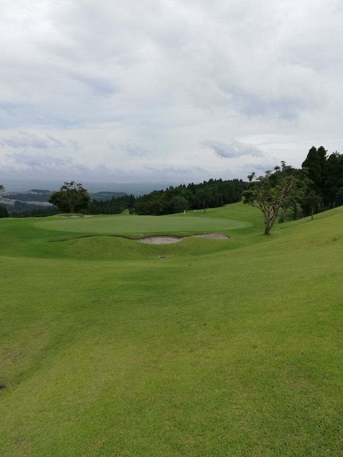 今日はゴルフ⛳