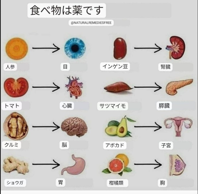 食べ物は薬です