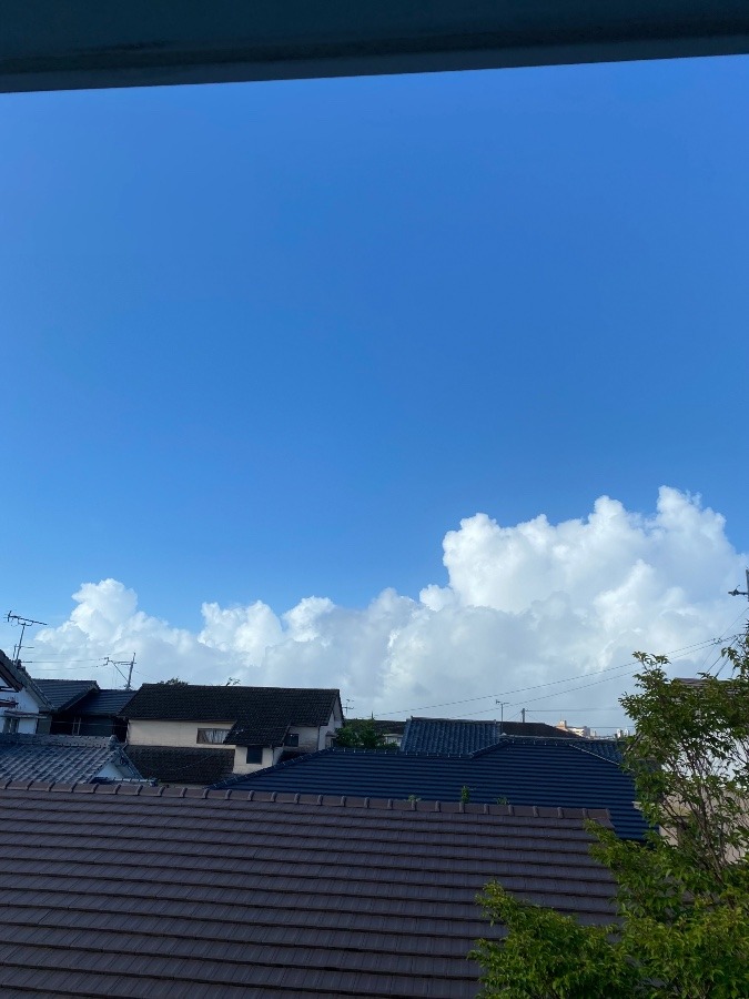 今朝の空