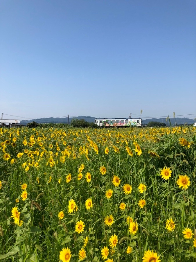 長良川鉄道🚃