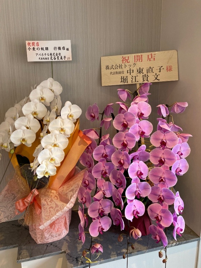 小麦の奴隷オープンのお祝いのお花🌸