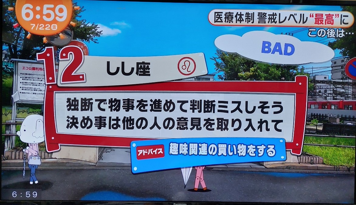 7/22今日の運勢12位しし座♌