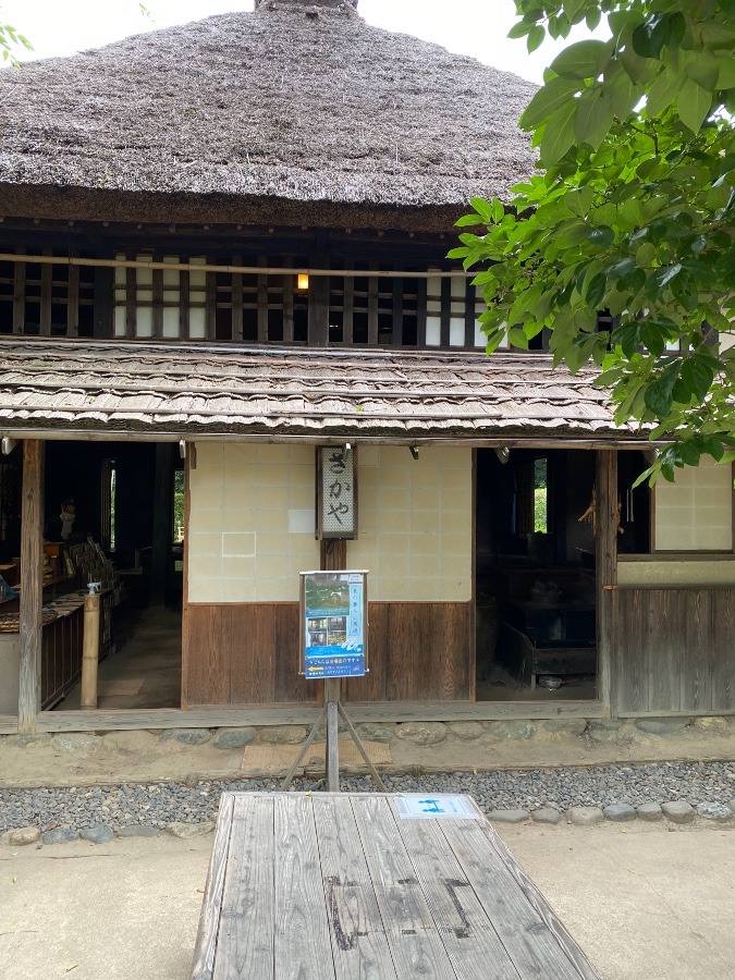 次大夫堀公園🌳🌱🌿🦚