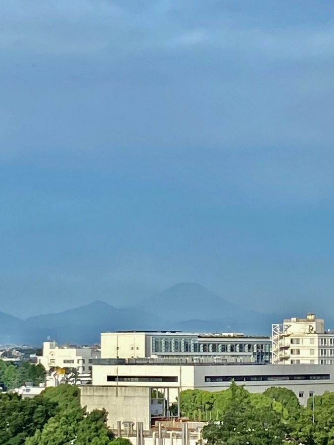 今朝の富士山