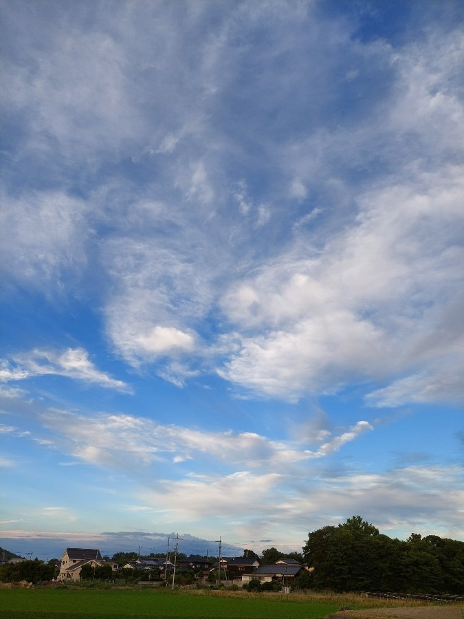 夕方の空