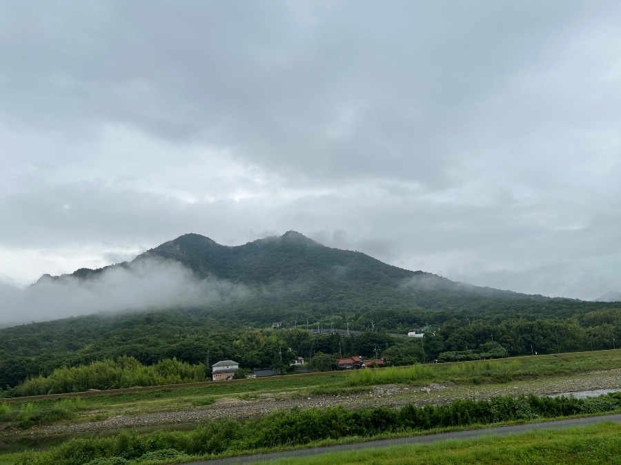 7月6日の朝