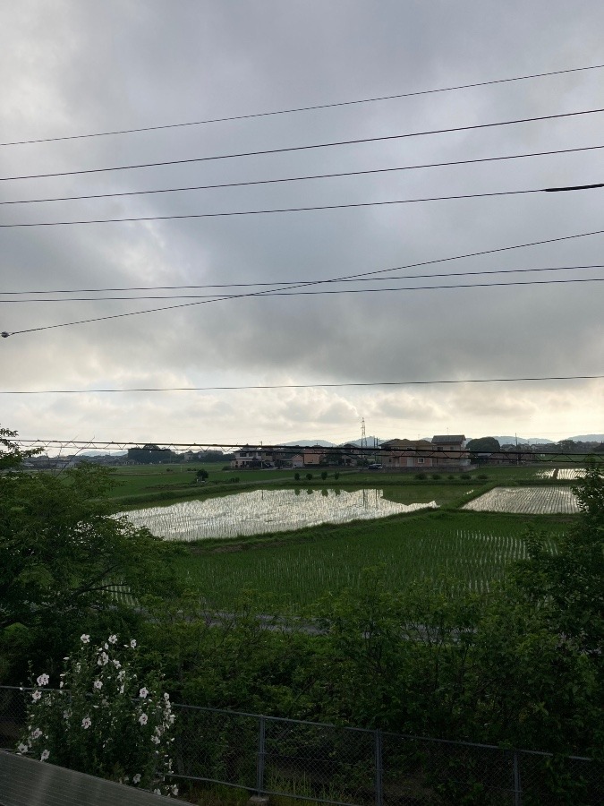 7月になりました朝7時の空‼️