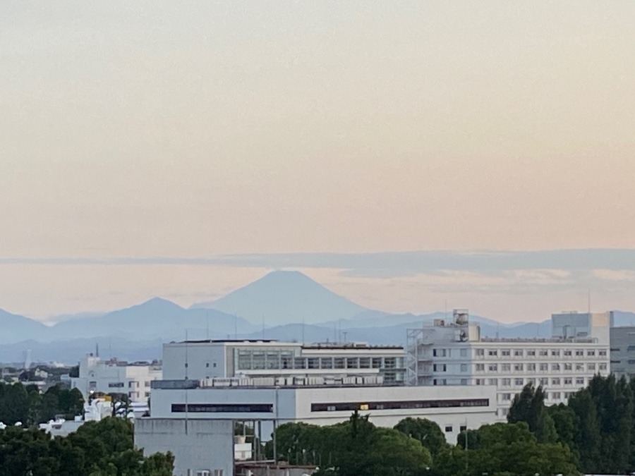 富士山