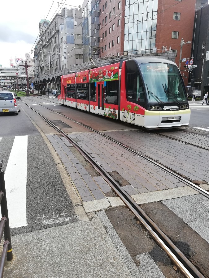 市電車🚃!