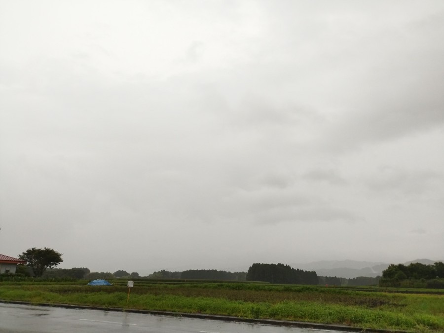 都城市（2022/7/5）今朝も雨です😓❗