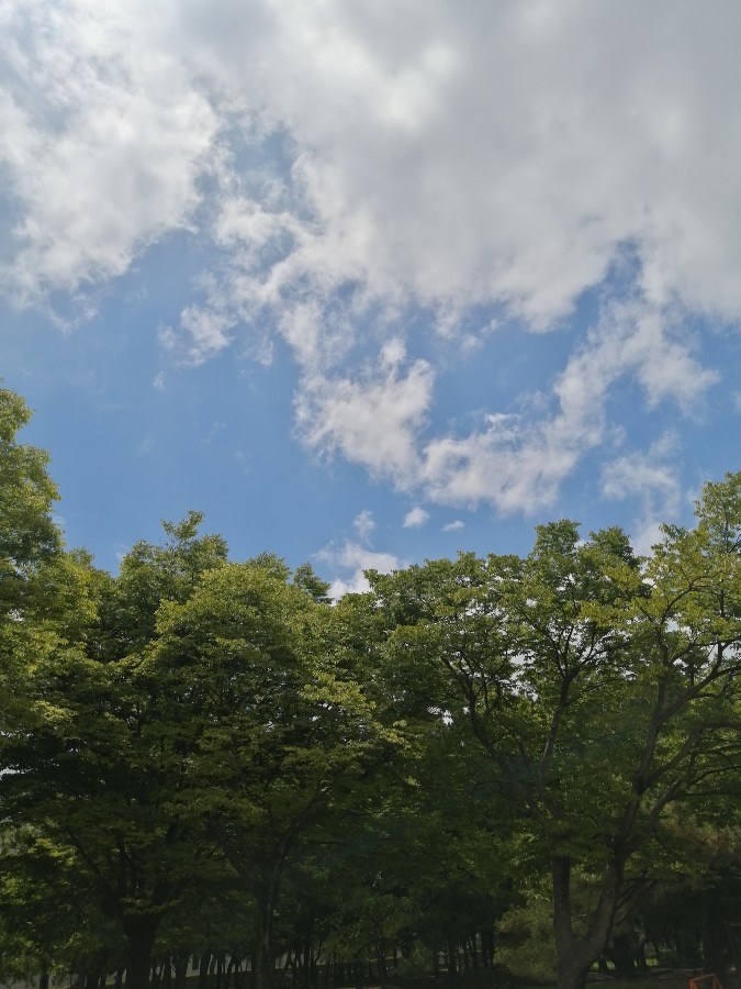 昼空－青空が出て来た