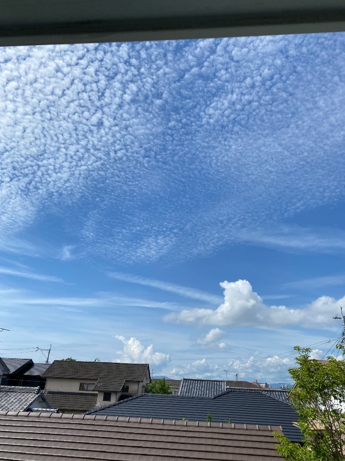 夏空