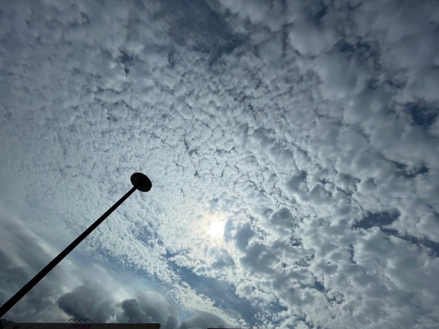 朝の空