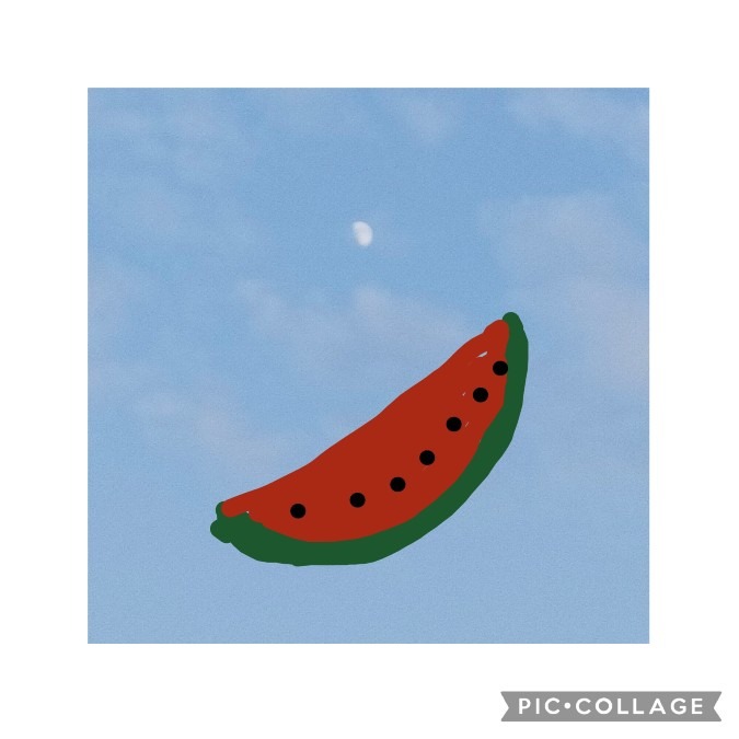 月より大きなピノガール🍉