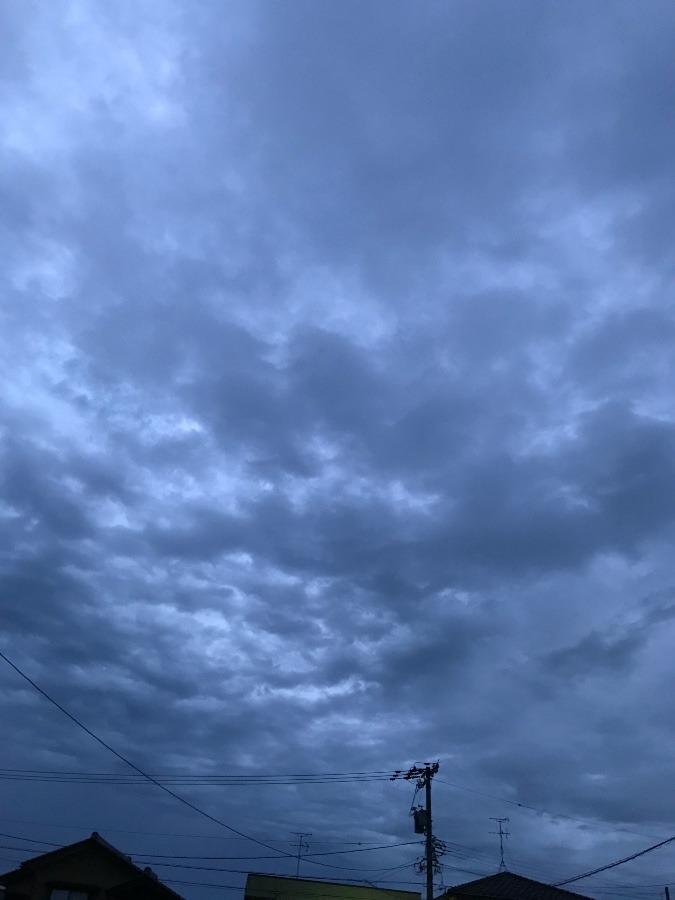 今日の空