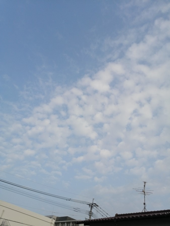 今日の空－7月10日