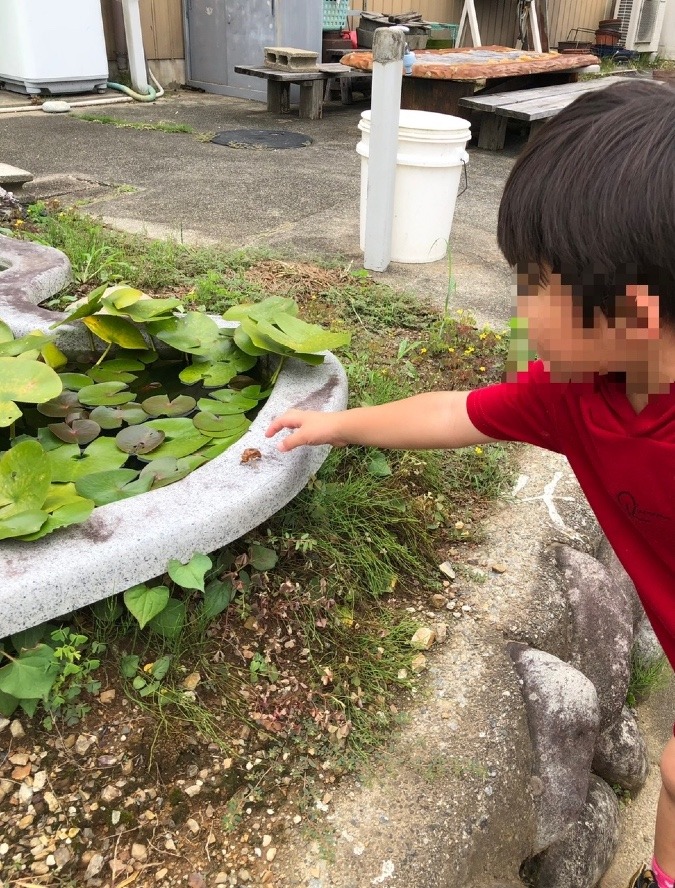 こんな所に🦗