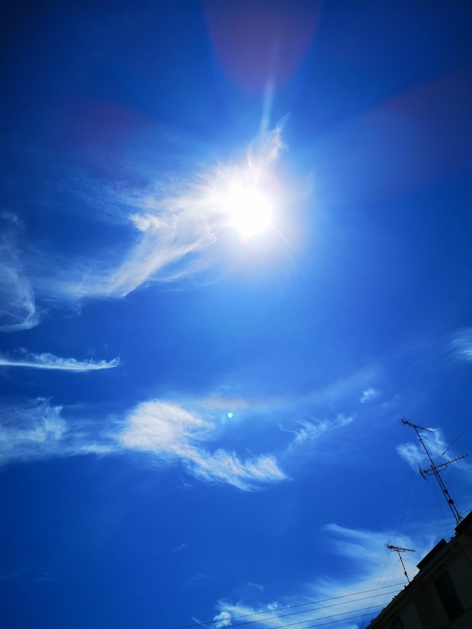 ７月27日　午前9時　太陽❤️