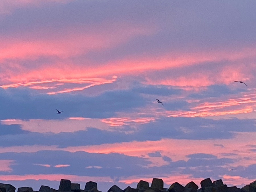 根室市の夕陽