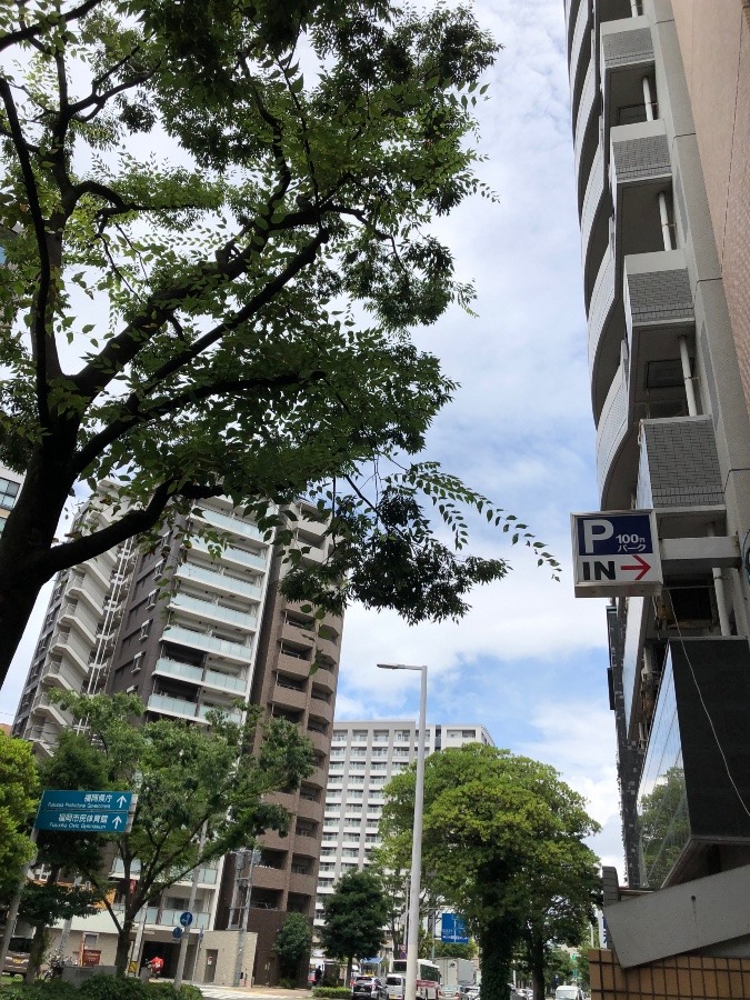 雨上がり、晴れ