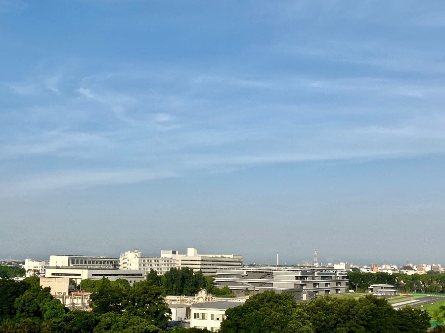 今朝の富士山